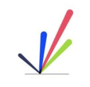 Pôle Ressources ETP IDF Er Vertigo com Handicap