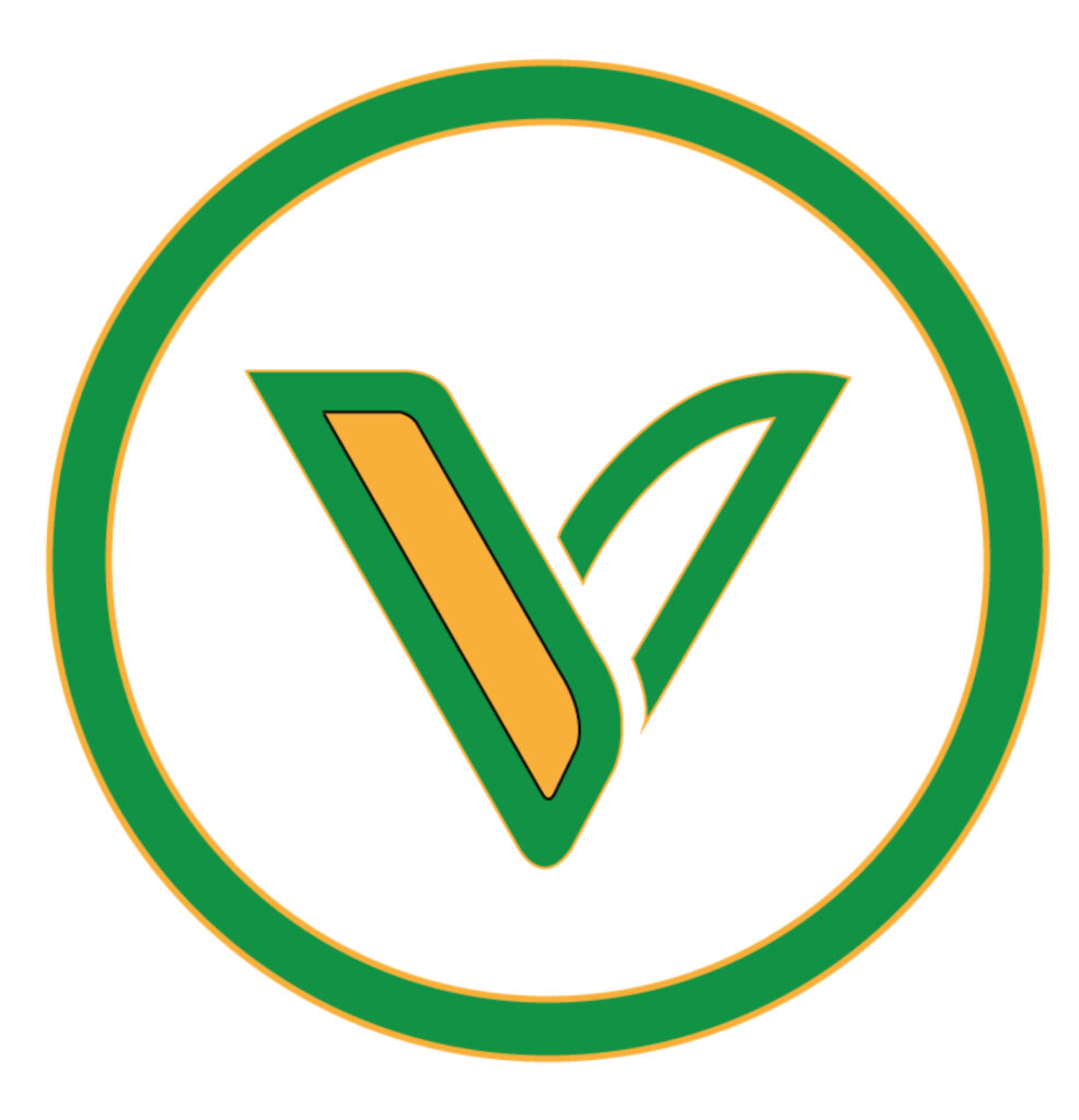 Logo 2026 - Vertigo - vison global - Handicap et autres 