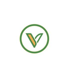 Logo 2026 - Vertigo - vison global - Handicap et autres