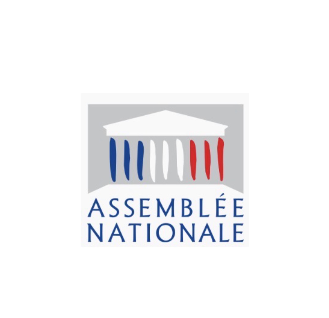 Assemblée Nationale & Vertigo Com Handicap